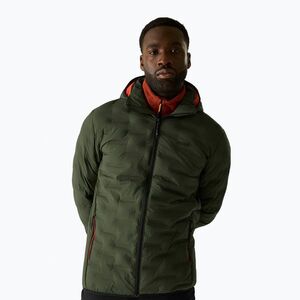 Férfi bélelt kabát REGATTA Astrel dark khaki/rooibos tea (Astrel RMN341-0NX) kép