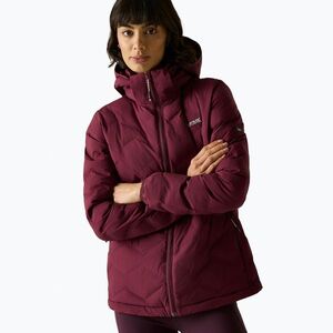 Női bélelt kabát REGATTA Deyla fig (Deyla RWN446-909) kép