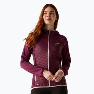 Női hibrid kabát REGATTA Andreson Hybrid fig (Andreson Hybrid RWN403-909) kép