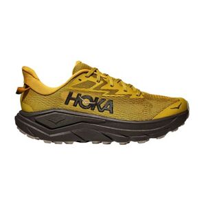 Férfi futó trail cipők HOKA Challenger 8 M mustared seed black kép