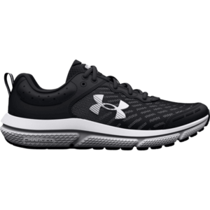 UA BGS Assert 10 kép
