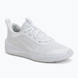 Nike Omni cipő Multi-Court fehér/pure platinum/fehér (Omni Multi-Court DM9027-100) kép