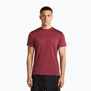 Férfi trekking póló icebreaker Merino 125 Cool-Lite Sphere III port (Merino 125 Cool-Lite Sphere III SS Tee IB0A56ZM01C1) kép