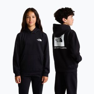 Gyerekpulóver The North Face Evolution Box NSE Pullover Hoodies tnf black (Evolution Box NSE Pullover Hoodies NF0A8CV5JK31) kép