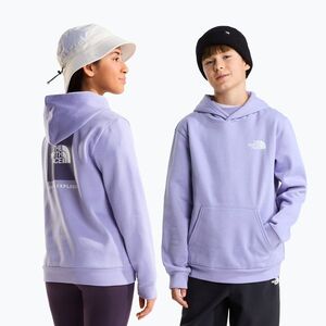 Gyerekpulóver The North Face Evolution Box NSE Pullover Hoodies pale plum (Evolution Box NSE Pullover Hoodies NF0A8CV5NO51) kép