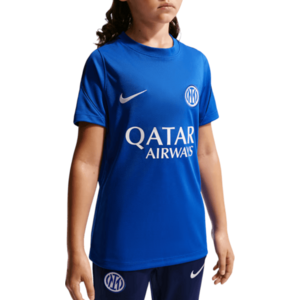 Dri-FIT Inter Milan Strike kép