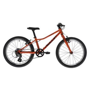 Gyerek hegyi kerékpár AMULET 20 Tomcat SH, orange black kép
