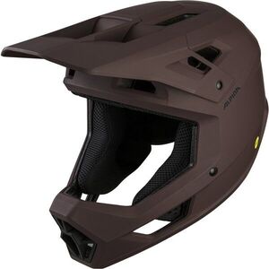 Alpina Pikes MIPS ox matt M kép