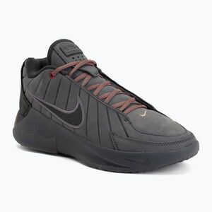 Férfi kosárlabda cipő Nike LeBron Witness 9 anthracite/iron grey/desert dust/black (LeBron Witness 9 HQ8034-009) kép