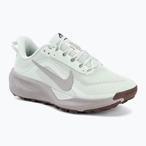 Női futócipők Nike ACG Pegasus Trail barely green/light bone/silver lilac (ACG Pegasus Trail HV8121-302) kép