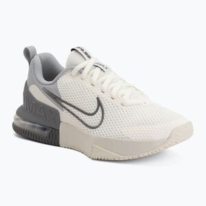 Férfi edzőcipők Nike Air Max Alpha Trainer 6 sail/light smoke grey/phantom/pencil point (Air Max Alpha Trainer 6 FQ1833-115) kép