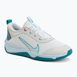 Gyermekcipő Nike Omni Multi-Court off white/energy/glacier blue (Omni Multi-Court DM9027-109) kép
