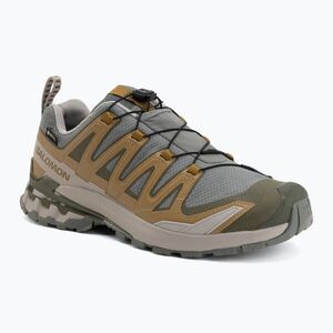 Férfi futócipők Salomon XA Pro 3D V9 GTX sedona sage/brilliant olive (XA Pro 3D V9 GTX L49229600) kép
