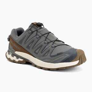 Férfi futócipők Salomon XA Pro 3D V9 GTX Lifelong sedona sage/coyote brown (XA PRO 3D V9 GTX Lifelong L49296100) kép