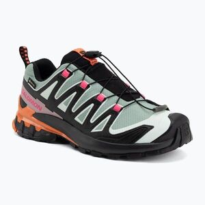 Női futócipők Salomon XA Pro 3D V9 GTX Icon black/green milieu (XA Pro 3D V9 GTX Icon L45486700) kép
