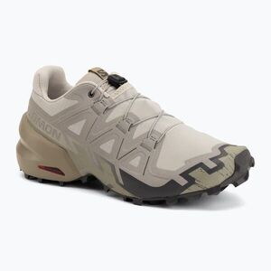 Férfi futócipők Salomon Speedcross 6 silver cloud/paloma (Speedcross 6 L49200100) kép
