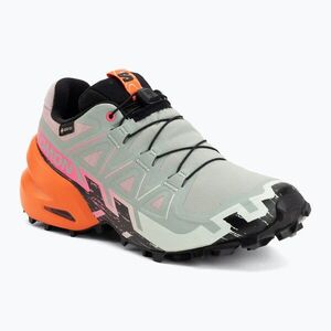 Női futócipők Salomon Speedcross 6 GTX Icon black/green milieu (Speedcross 6 GTX Icon L45486900) kép