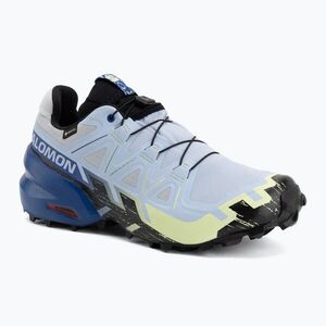 Férfi futócipők Salomon Speedcross 6 GTX Icon brunnera blue/surf the web (Speedcross 6 GTX Icon L45486800) kép