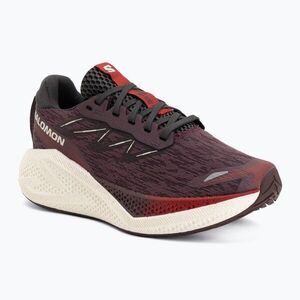 Női futócipők Salomon Aero Glide 4 huckleberry/vanilla ice (Aero Glide 4 L49226900) kép