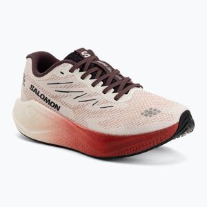Női futócipők Salomon Aero Blaze 4 vanilla ice/huckleberry (Aero Blaze 4 L45396900) kép