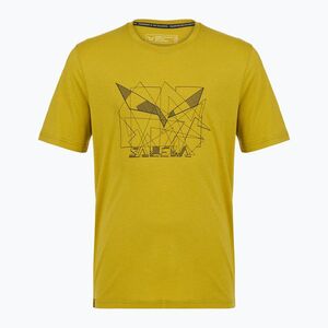 Férfi póló Salewa Eagle Geometric olive oil (Eagle Geometric 00-0000029100) kép