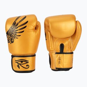 Boxkesztyű Fairtex Universal "Tight-Fit" Design Falcon gold (Universal "Tight-Fit" Design Faclon BGV1-FL) kép