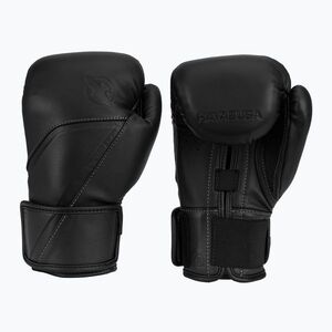 Bokszkesztyűk Hayabusa E1 Leather black (E1 Leather E1LBG-BK) kép