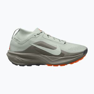 Női futócipők Nike ACG Pegasus Trail GORE-TEX Light Silver/Light Army/Light Silver (ACG Pegasus Trail GORE-TEX IQ1394-002) kép