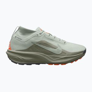 Férfi futócipők Nike ACG Pegasus Trail GORE-TEX Light Silver/Light Army/Light Silver (ACG Pegasus Trail GORE-TEX IQ1084-003) kép