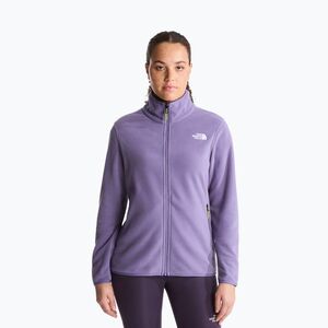 Férfi polár pulóver The North Face Glacier Fleece grounded plum (Glacier Fleece NF0A8D2FNNK1) kép