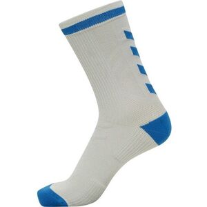 INVENTUS INDOOR SOCK LOW kép