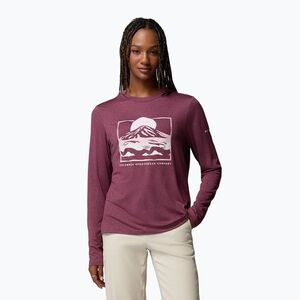 Női hosszú ujjú póló Columbia Parsons Point LS Graphic Tee antique mauve heather/all terrain (Parsons Point Graphic Tee 2172711551) kép