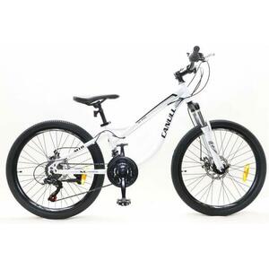 Canull XC 240 kép