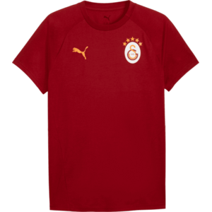Galatasaray S.K. Evostripe kép