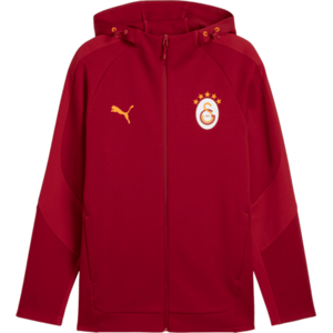 Galatasaray S.K. EVOSTRIPE kép