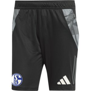 FC Schalke 04 kép