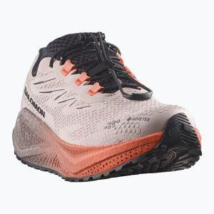 Női futócipők Salomon Aero Blaze 4 GRVL GTX rainy day/black (Aero Blaze 4 Gravel GTX L45404000) kép