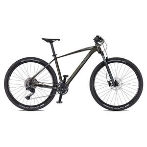 Hegyikerékpár 4EVER Firetrack 29'' 10.0, shimano tárcsafék, 29-es kerekek, 22 sebességfokozat, Schwalbe gumiabroncsok kép