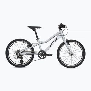 Gyerek kerékpár ATTABO EASE 20" 9, 1 kg silver (EASE 20" ATB-B5I096-SV) kép