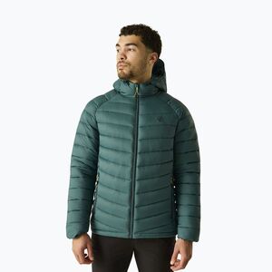 Férfi bélelt kabát Dare 2b Torrek Padded Jacket mediterranea (Torrek Padded DMN458_ZM7) kép