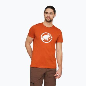 Férfi póló Mammut Core T-Shirt Men Classic autumn larice (Core Classic 1017-05891-7575-113) kép