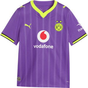 Borussia Dortmund Replica 3rd 2026/27 kép