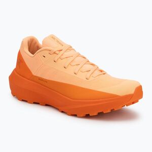 Arcteryx Norvan LD 4 luminary / verve női futócipő (Norvan LD 4 X000009618080) kép