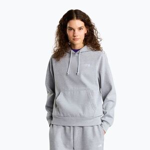 Női pulóver The North Face Evolution Simple Dome Regular Hoodie tnf pale grey heather (Evolution Simple Dome Regular Hoodie NF0A8CWNCQO1) kép