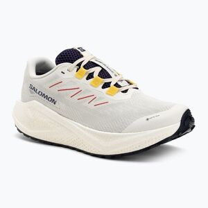 Férfi Salomon Aero Blaze 3 Gravel GTX futócipő vanilla ice/astral aura/lemon (Aero Blaze 3 Gravel GTX L47953200) kép