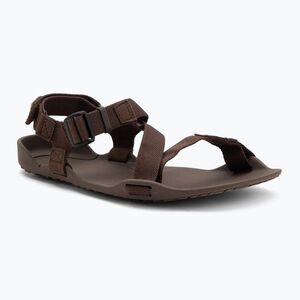 Férfi mezítlábas szandálok Xero Shoes Z-Trek barna (Z-Trek ZKM-BRN) kép