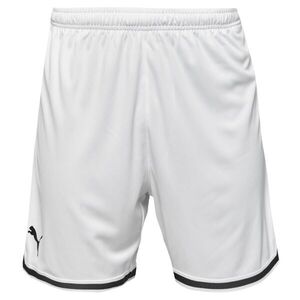 Puma HOOPS TEAM GAME SHORT Kosárlabda sort, fehér, méret kép
