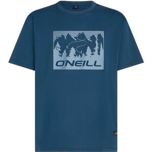O'Neill MUST-HAVE FRONT PRINT Férfi póló, kék, méret kép