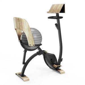 KLARFIT Roomik Cycle, szobakerékpár, 8 kg-os lendkerék, tablet tartó, fitlabda kép