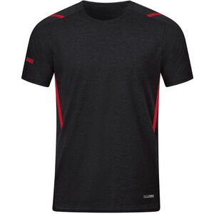 T-Shirt Challenge kép